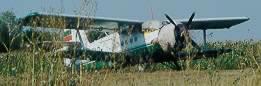 Beskrivelse: Antonov AN-2 i græsset